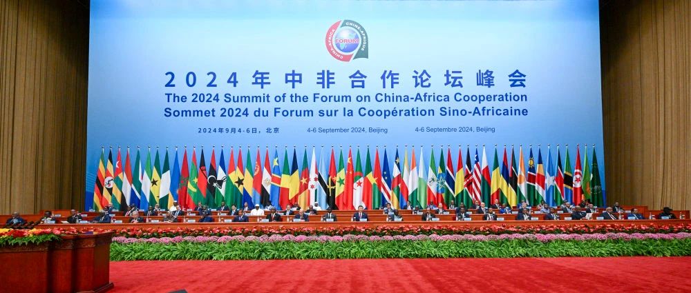 问鼎娱乐总裁滕磊加入中非相助论坛北京峰会开幕式